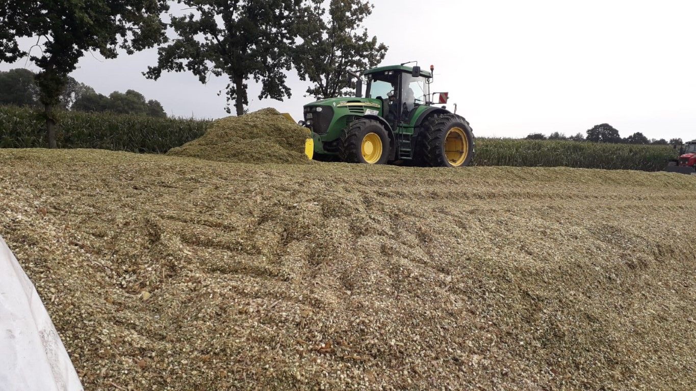 Büscher-Seifert | Mettingen