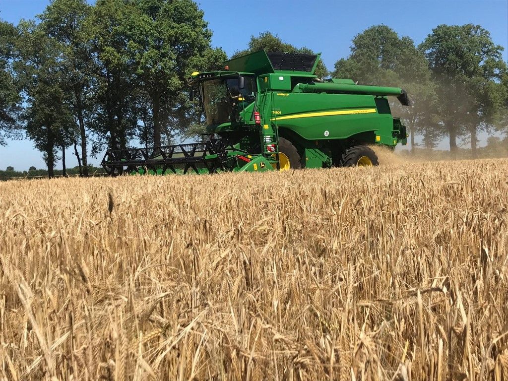 Büscher-Seifert | Mettingen