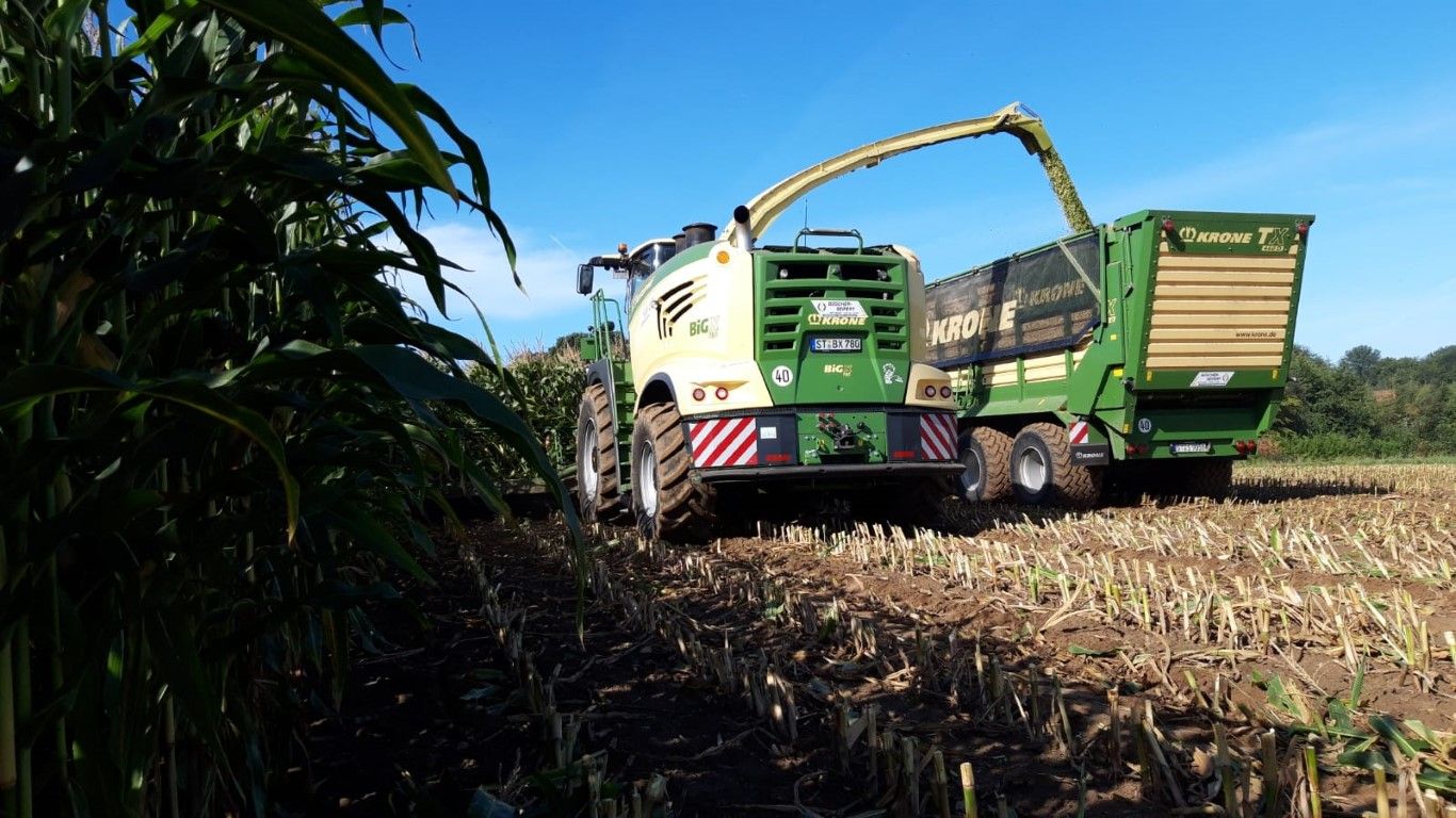 Büscher-Seifert | Mettingen