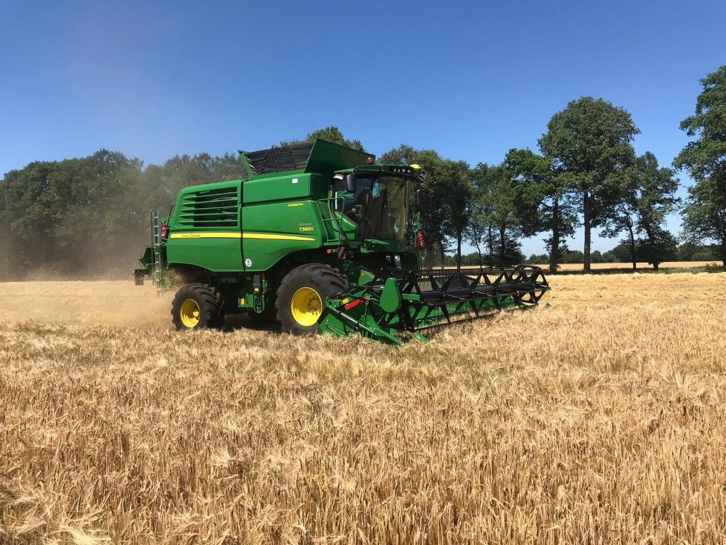 Büscher-Seifert | Mettingen
