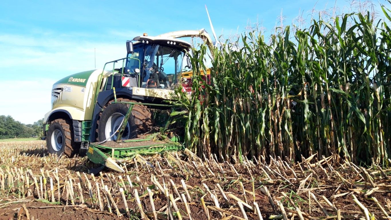 Büscher-Seifert | Mettingen