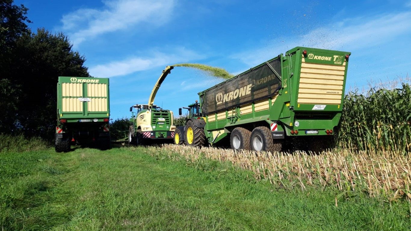 Büscher-Seifert | Mettingen