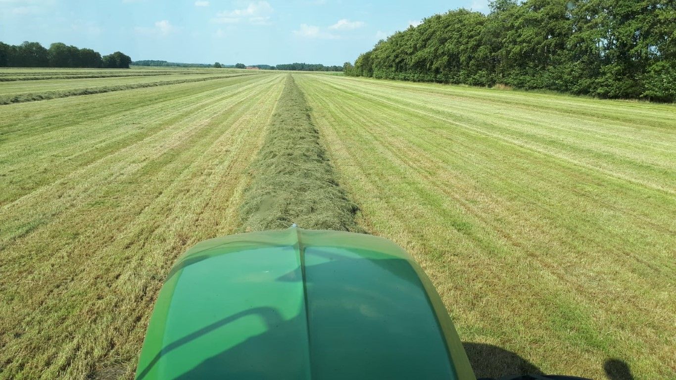 Büscher-Seifert | Mettingen