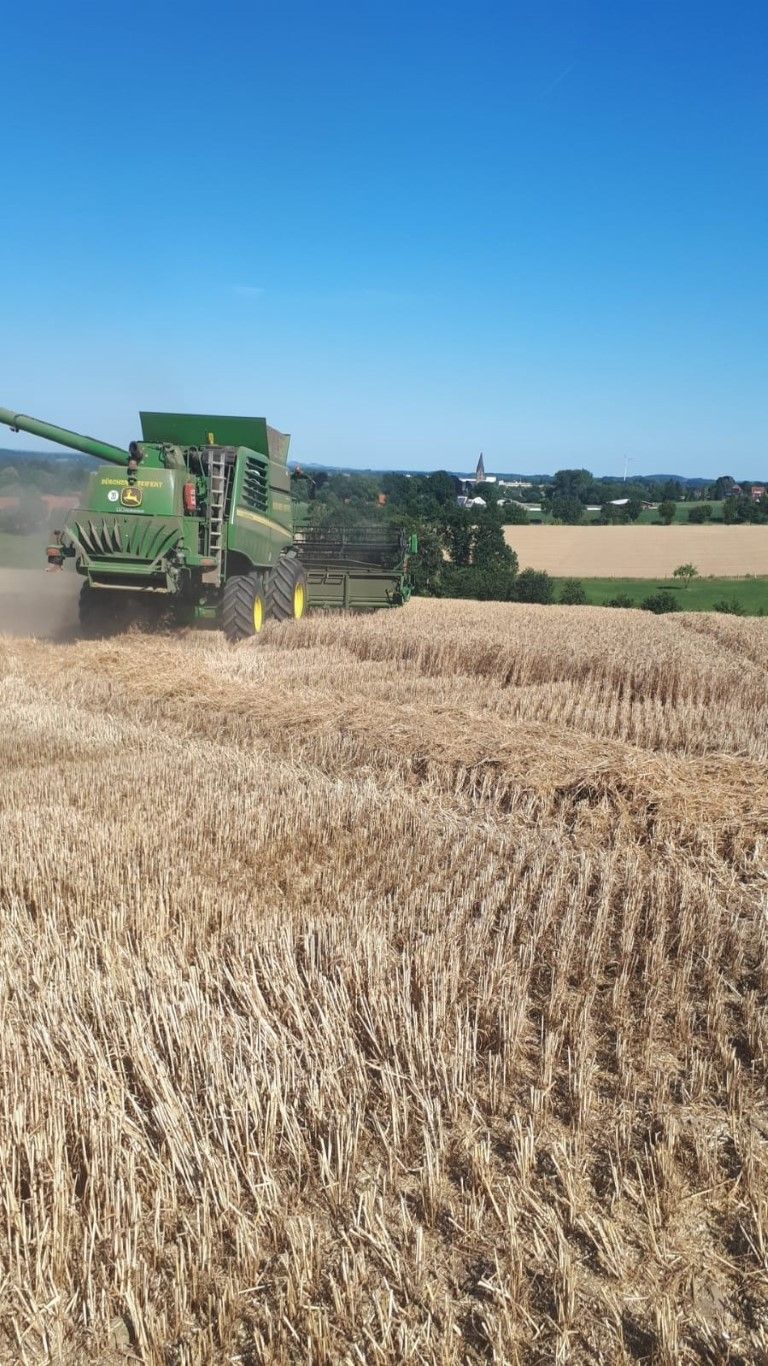 Büscher-Seifert | Mettingen