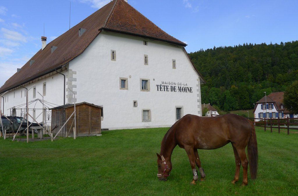 Männerchor Chutz 4513 Langendorf