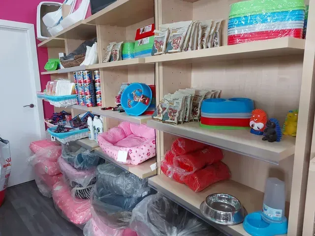 Estantes llenos de suministros para mascotas, incluidas camas, alimentos y juguetes, en una tienda de mascotas.
