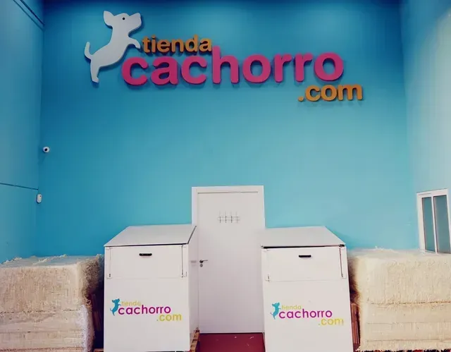 Entrada de la tienda de mascotas Tienda Cachorro con paredes azules, logotipo de perro y exhibidores blancos.