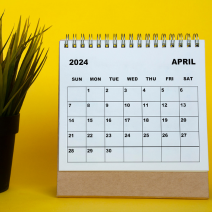 Un calendario para abril de 2024 se encuentra junto a una planta en maceta.