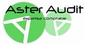 Aster Audit à Échirolles Logo Aster Audit vers l'accueil du site