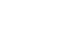 Logo L. Institut