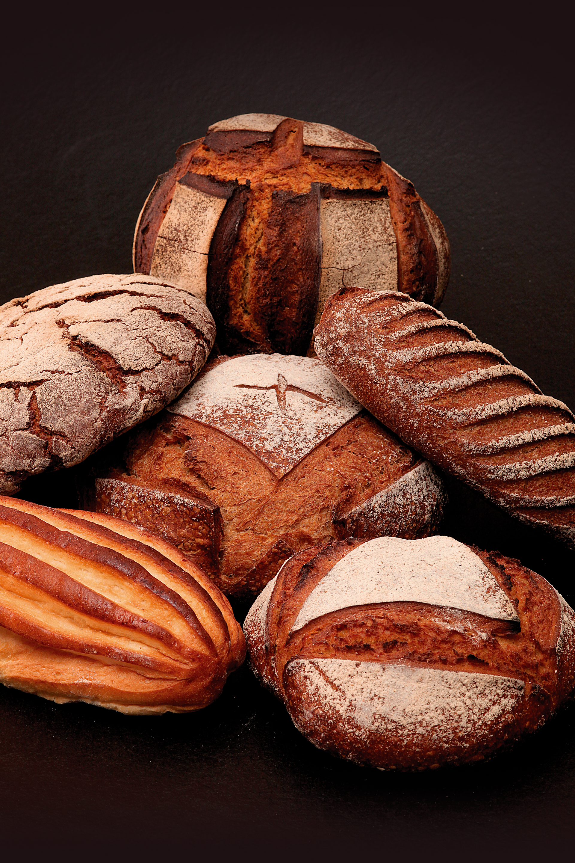 Plusieurs types de pains sur fond noir