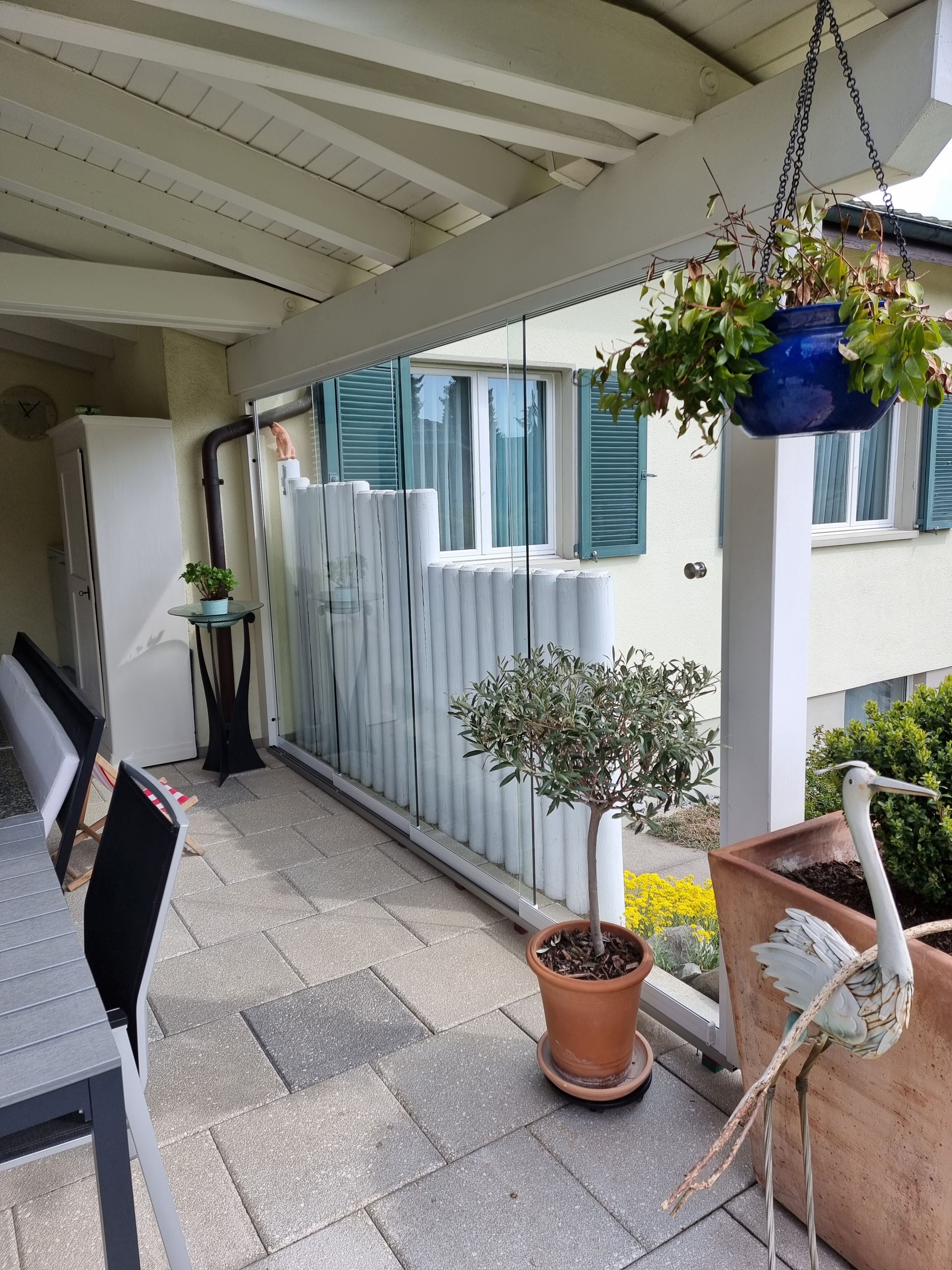 Terrasse mit Olivenbaum im Topf, Pflanzen, Sitzgelegenheiten und Blick auf ein Gebäude mit Fensterläden.