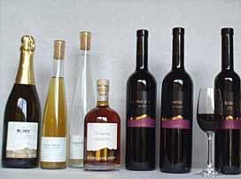 Confrérie des Croque-Tout