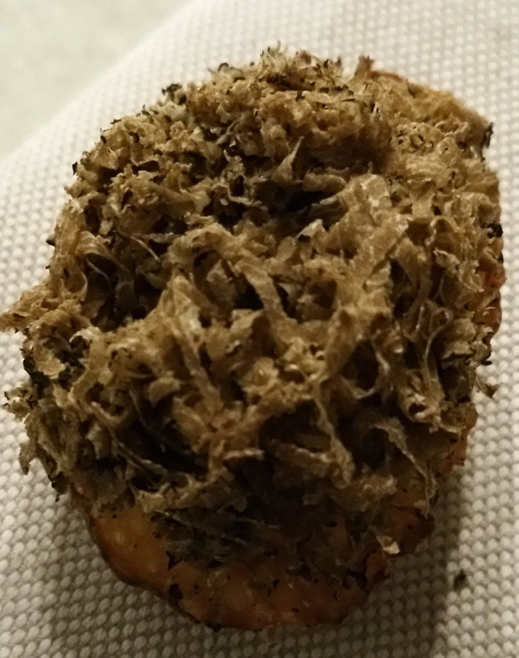 Confrérie des Croque-Tout