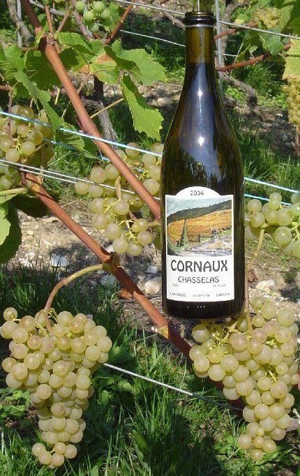 La Confrérie des Croque-Tout