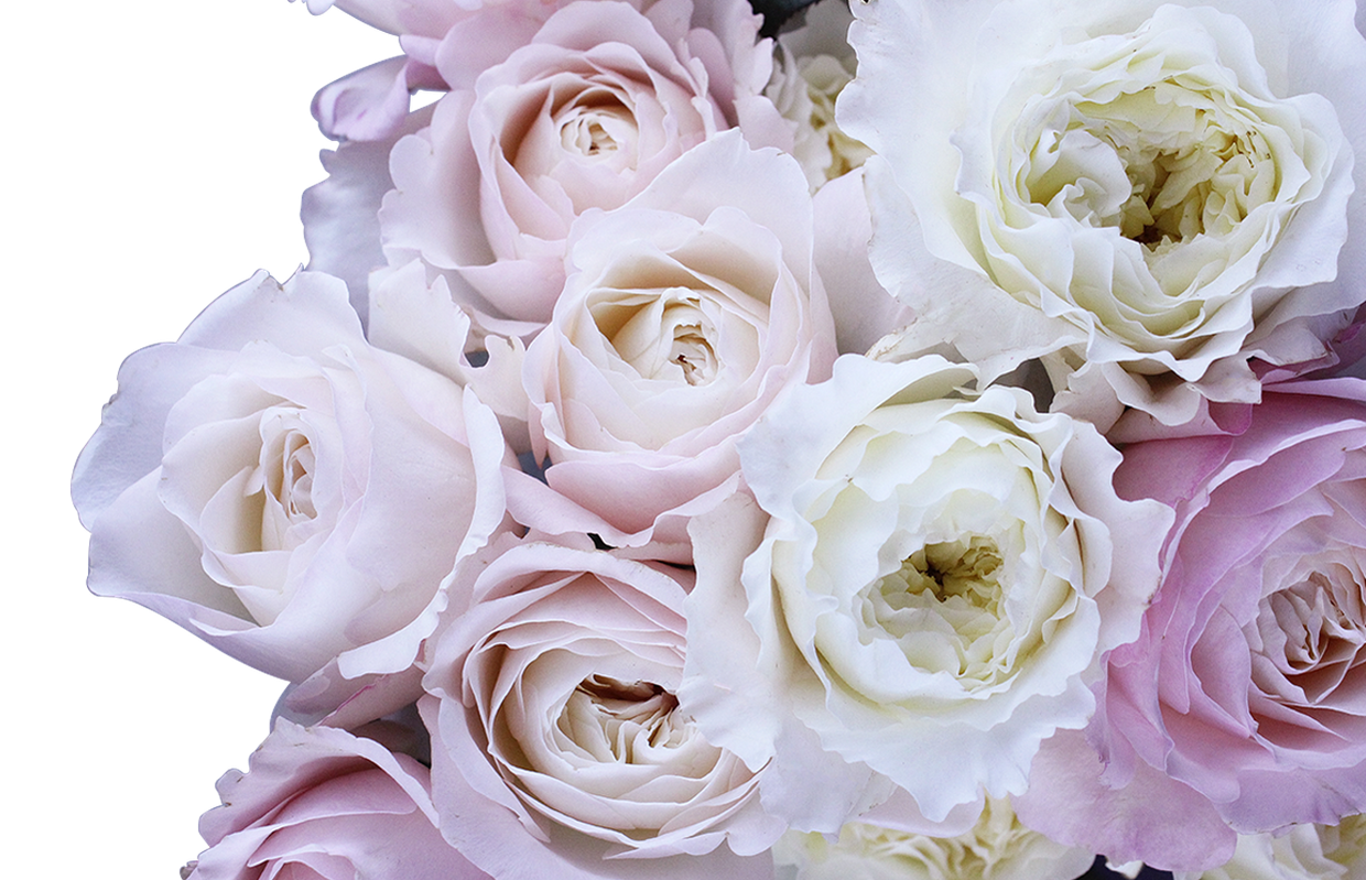 Un bouquet de roses roses et blanches tendres.