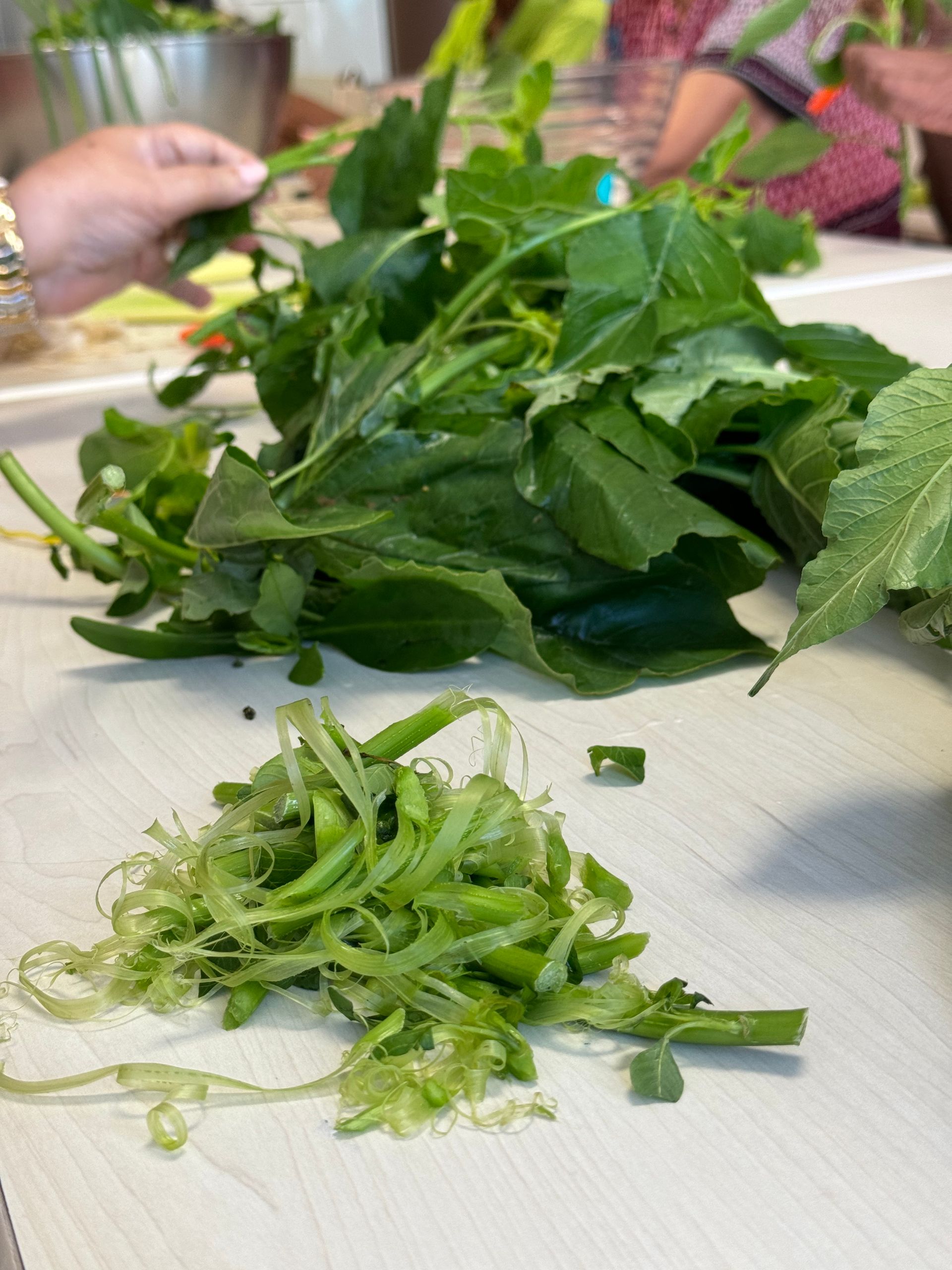 Herbes aromatiques utilisées pour la cuisine