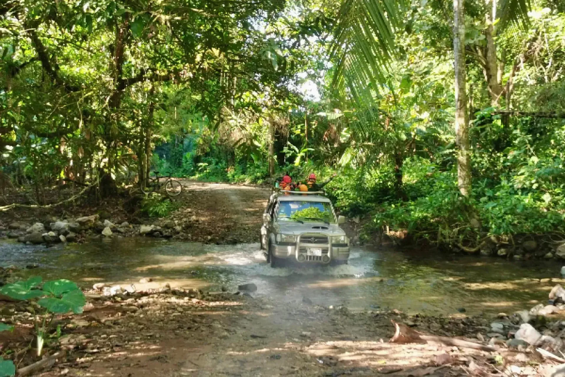 Jungle Tours costa rica