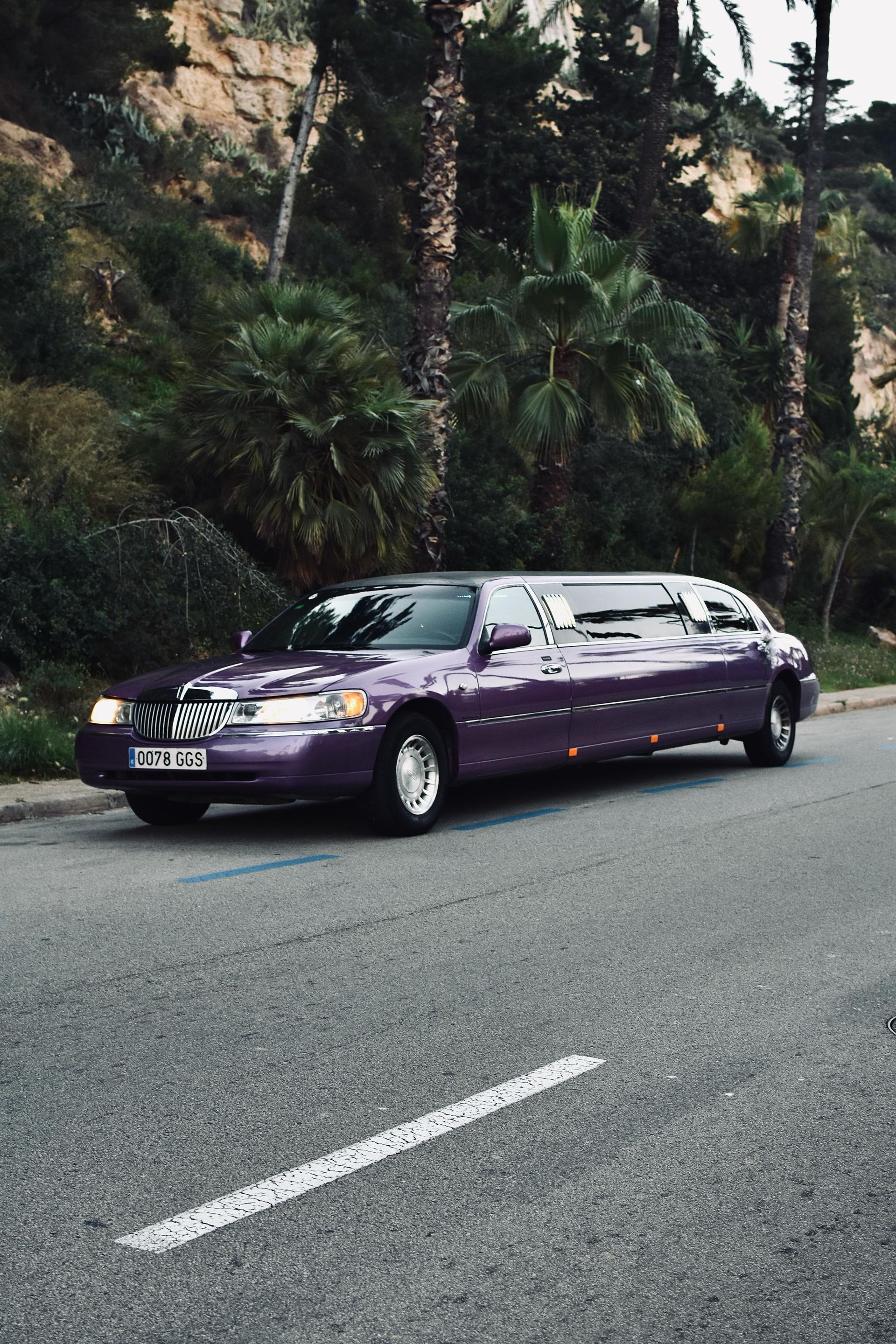 Una limusina violeta está estacionada al costado de la carretera.