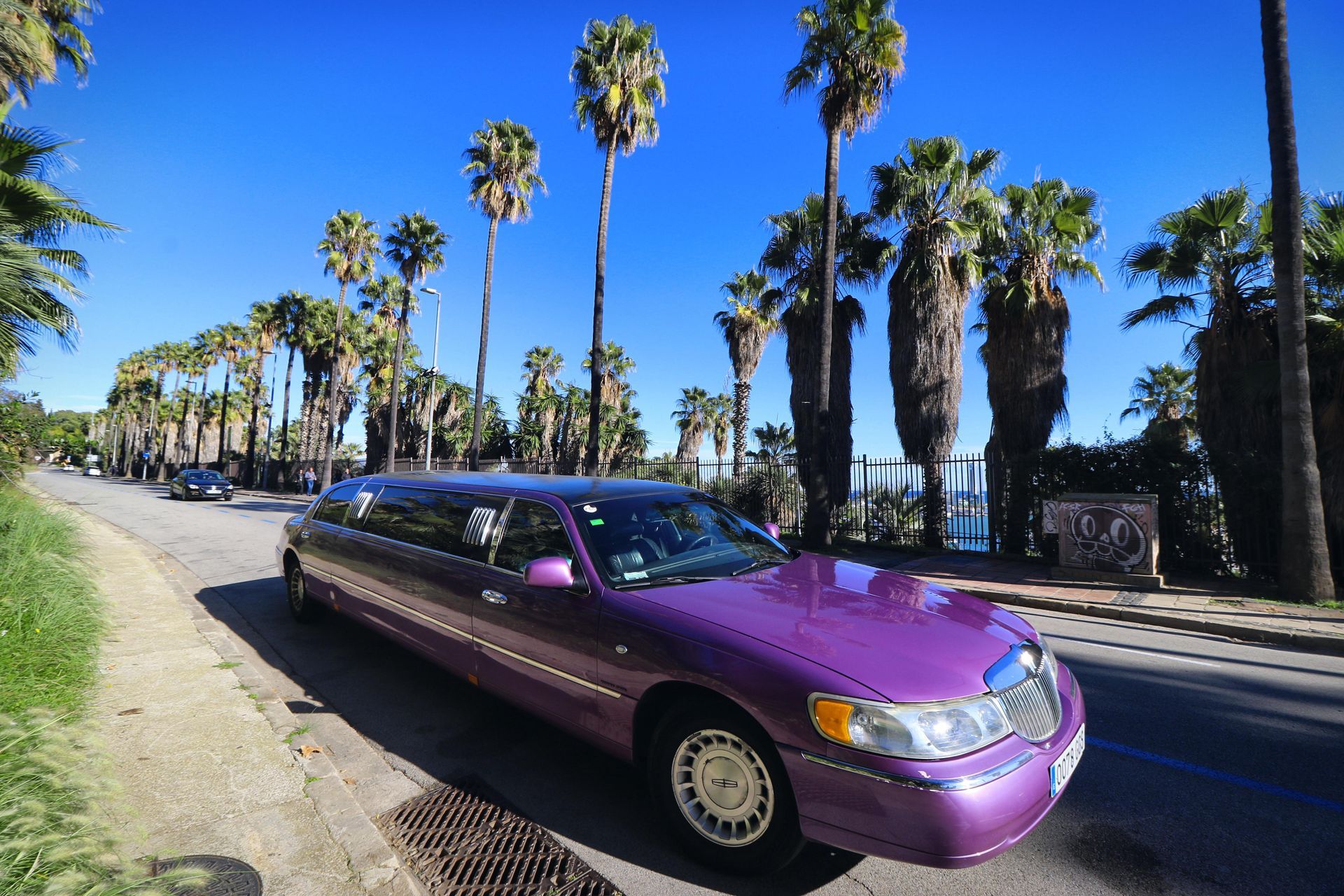 Una limusina violeta está estacionada al costado de la carretera junto a las palmeras.