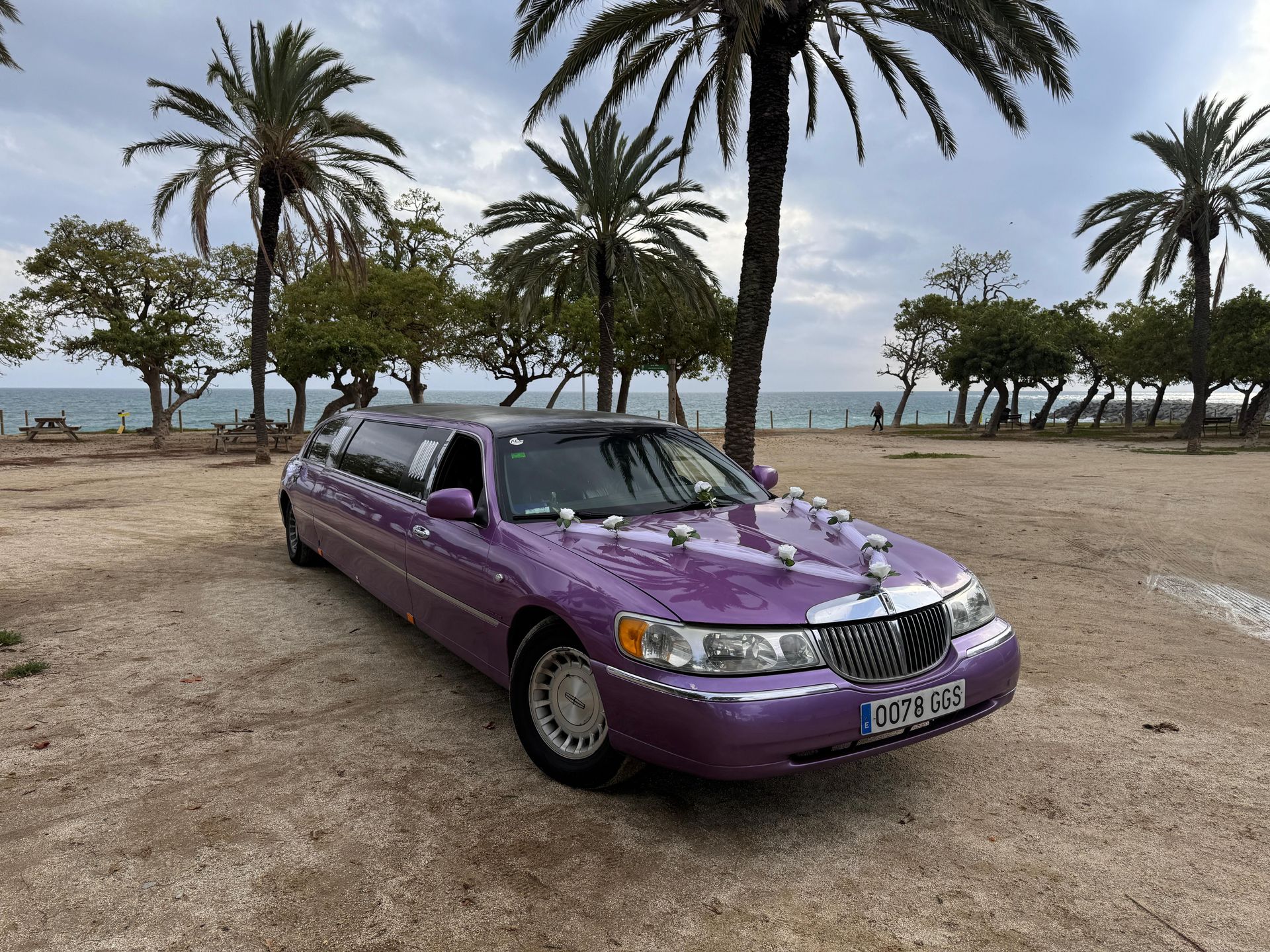 Una limusina violeta está estacionada en un campo con palmeras al fondo.