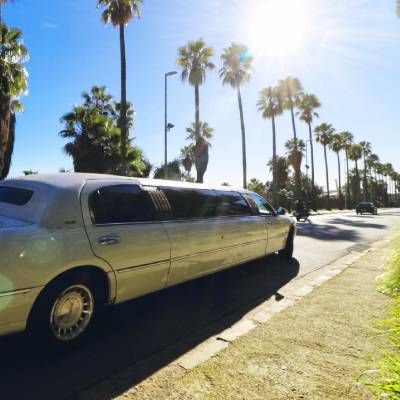 Una limusina blanca está estacionada al costado de la carretera junto a las palmeras.