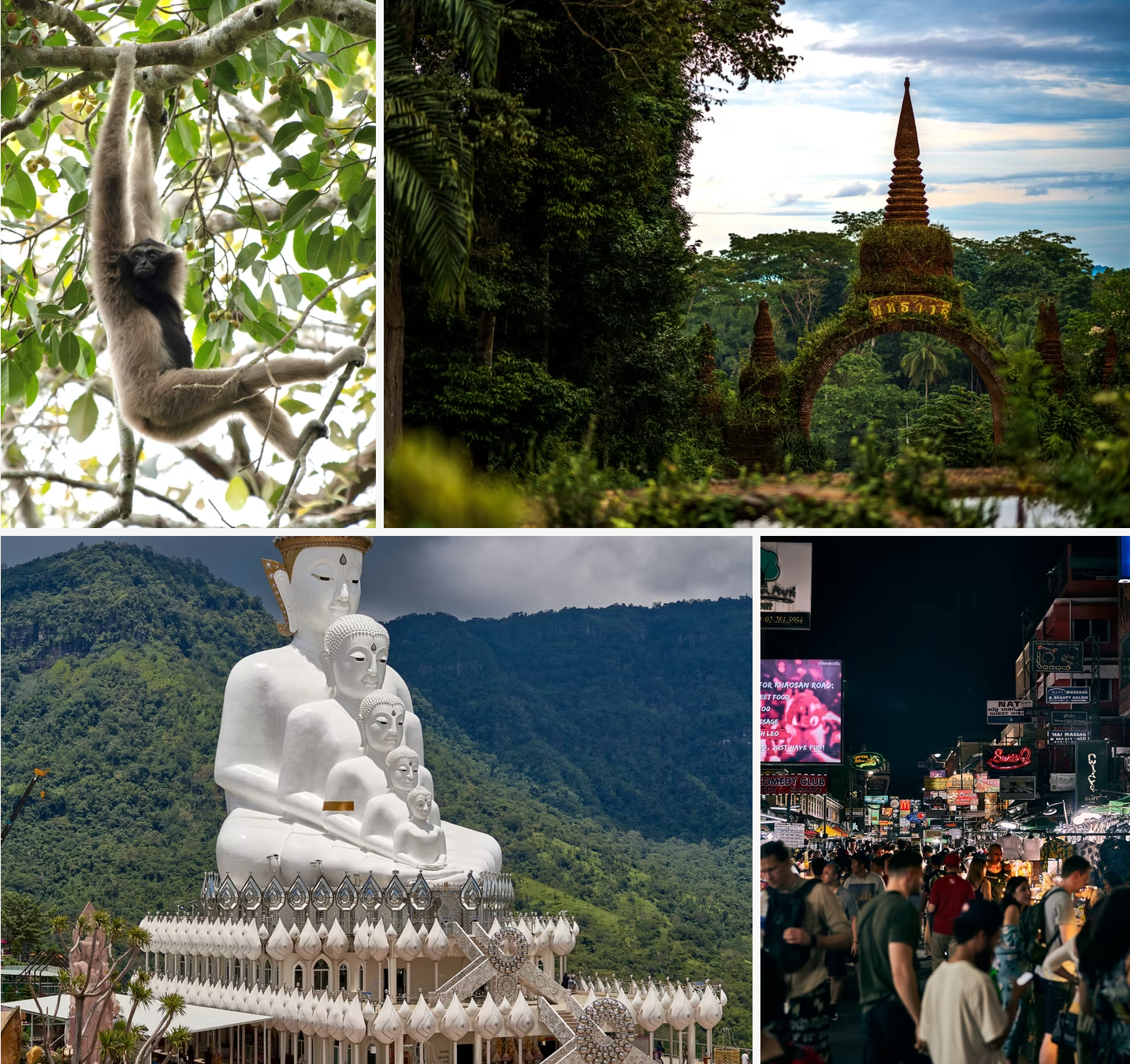 A monkey is hanging from a tree next to a statue of a man
