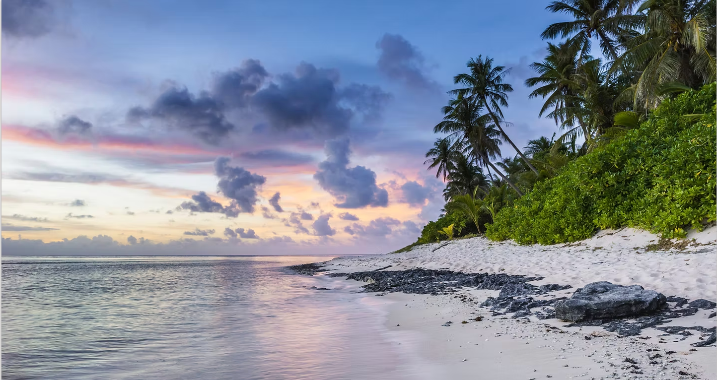 A tropical beach with palm trees and a sunset in the background.