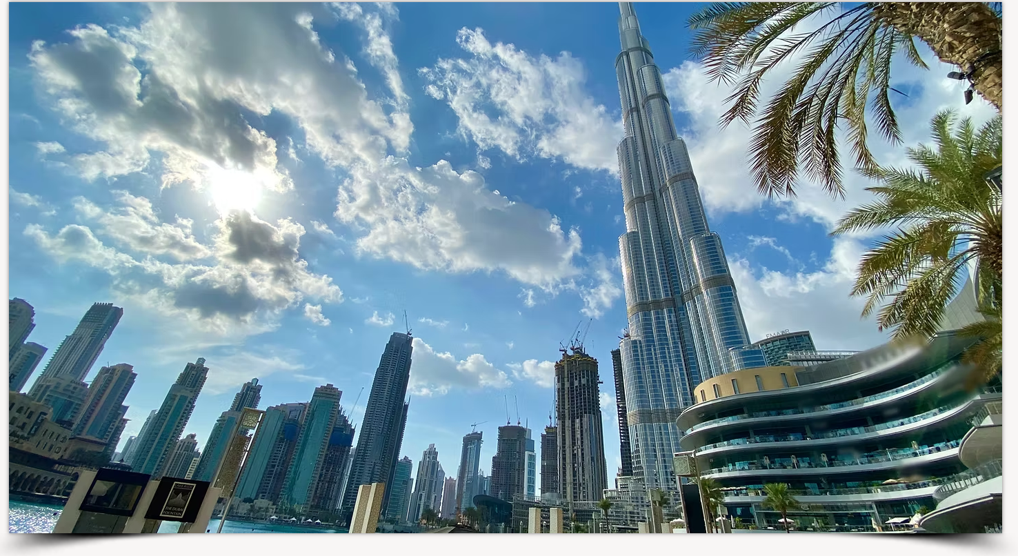 A city skyline with a palm tree in the foreground and a tall building in the background.