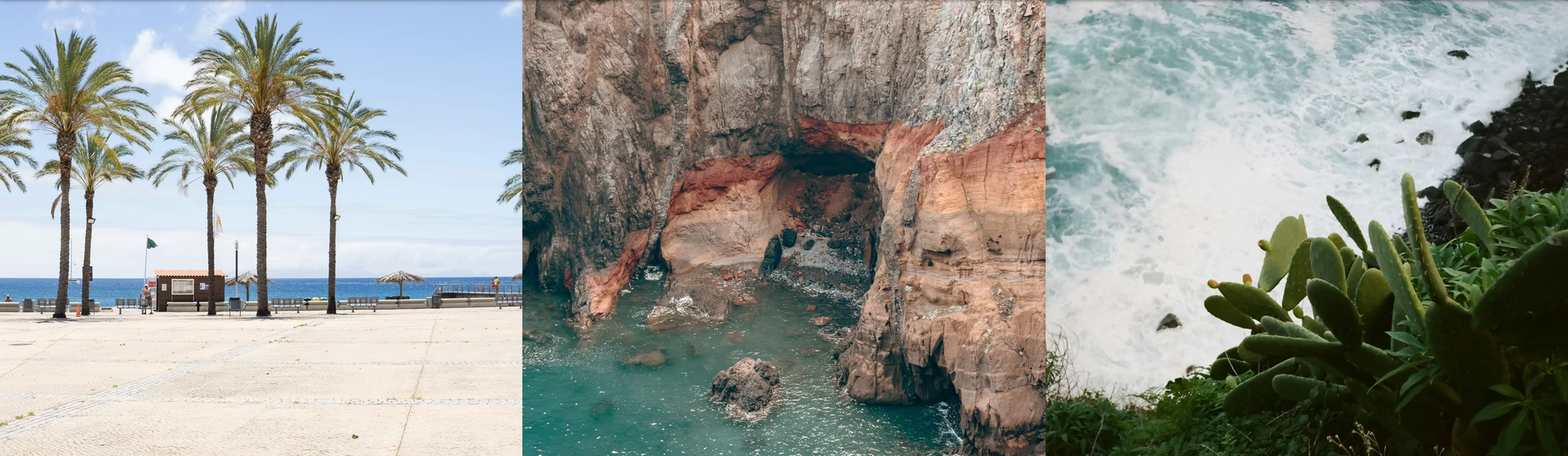 A collage of three pictures of a beach , a cave , and a jungle.