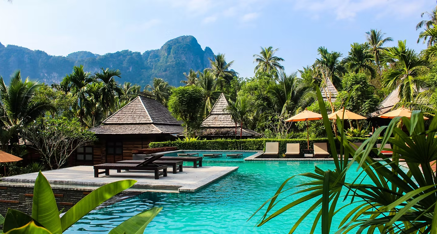 There is a large swimming pool in the middle of a lush green forest.