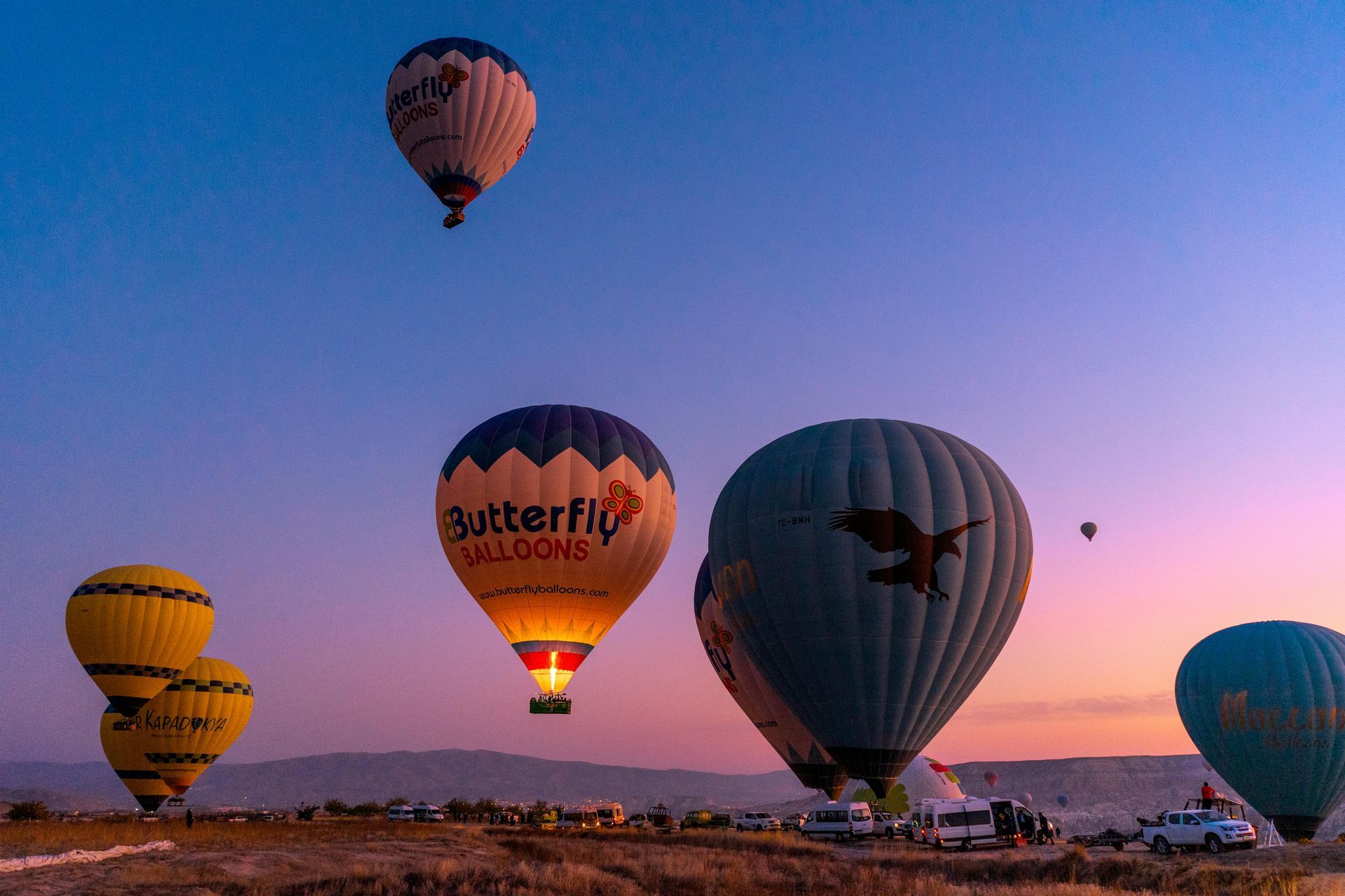 A group of hot air balloons are flying in the sky at sunset.