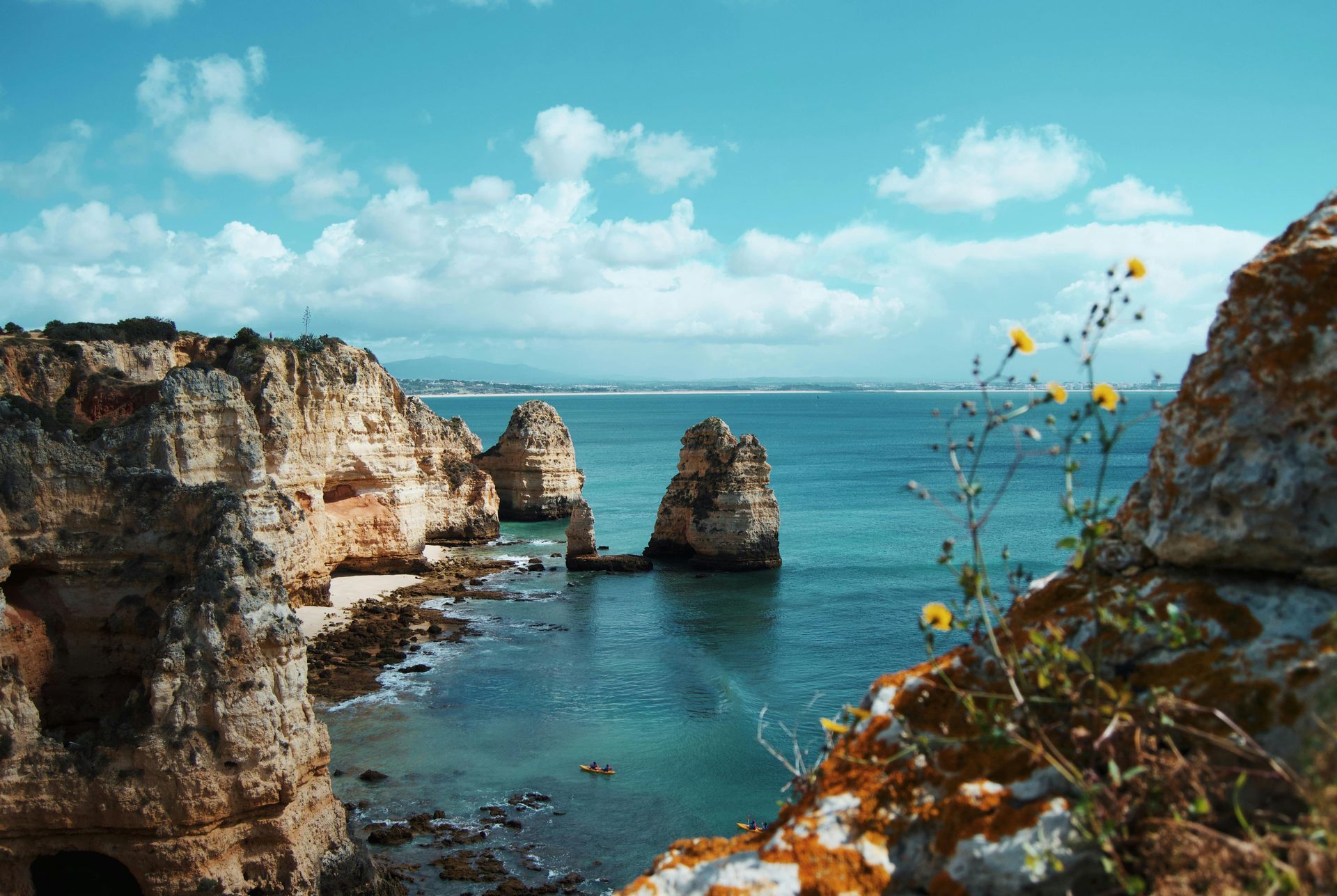 A view of the ocean from a rocky cliff with flowers in the foreground.