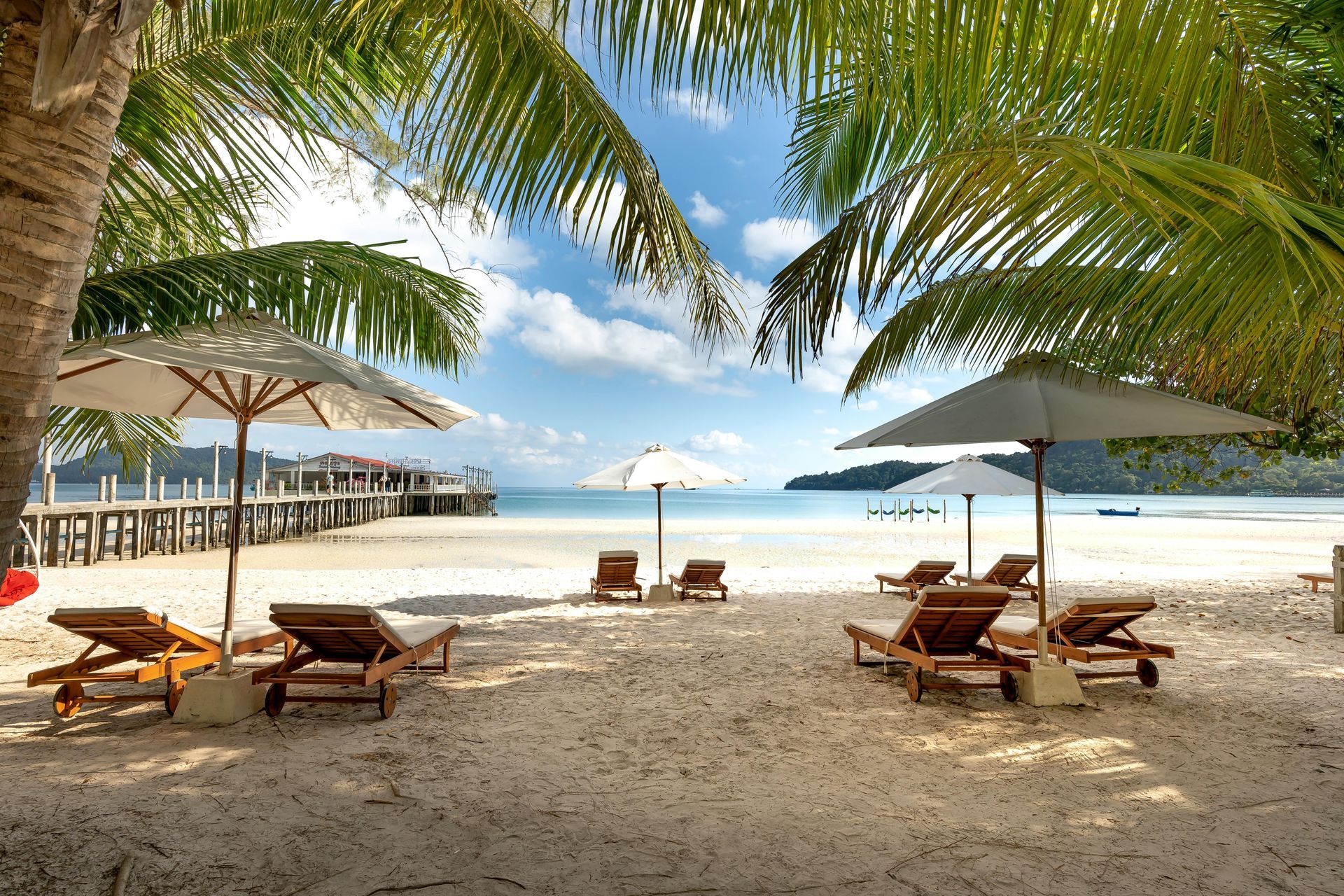 A beach with chairs and umbrellas under palm trees
