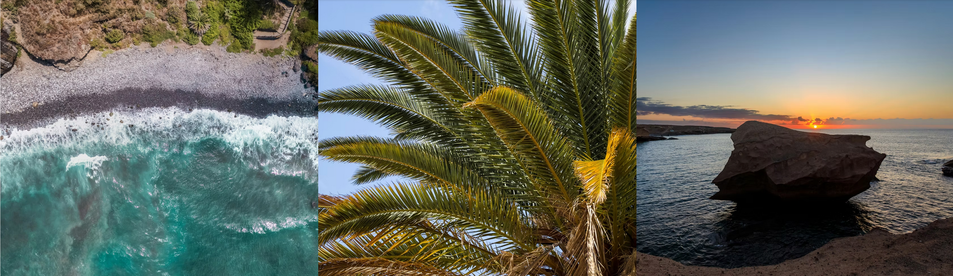 A collage of three pictures of a palm tree , a pool , and a beach.