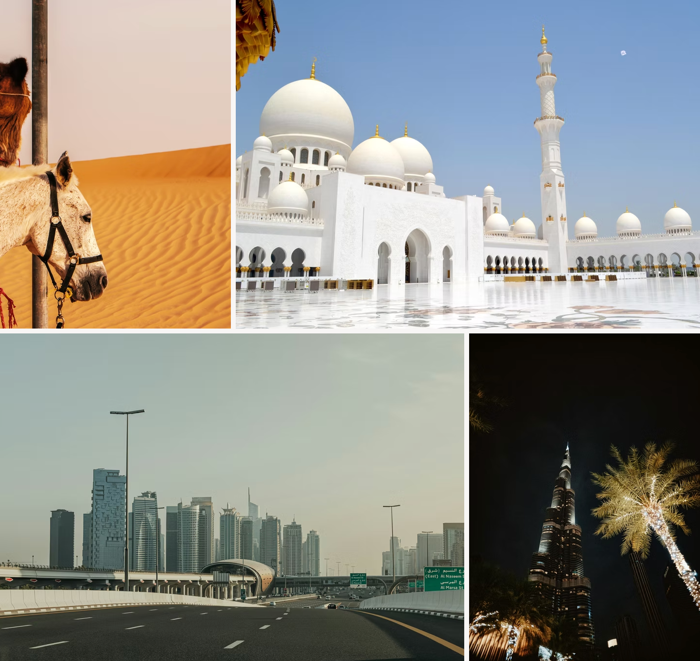 A collage of pictures shows a horse in the desert a mosque and a city