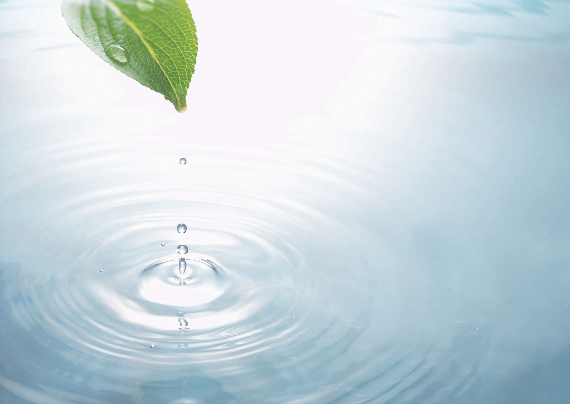 Feuille verte avec des gouttelettes d'eau tombant sur une surface bleue calme, créant des ondulations.