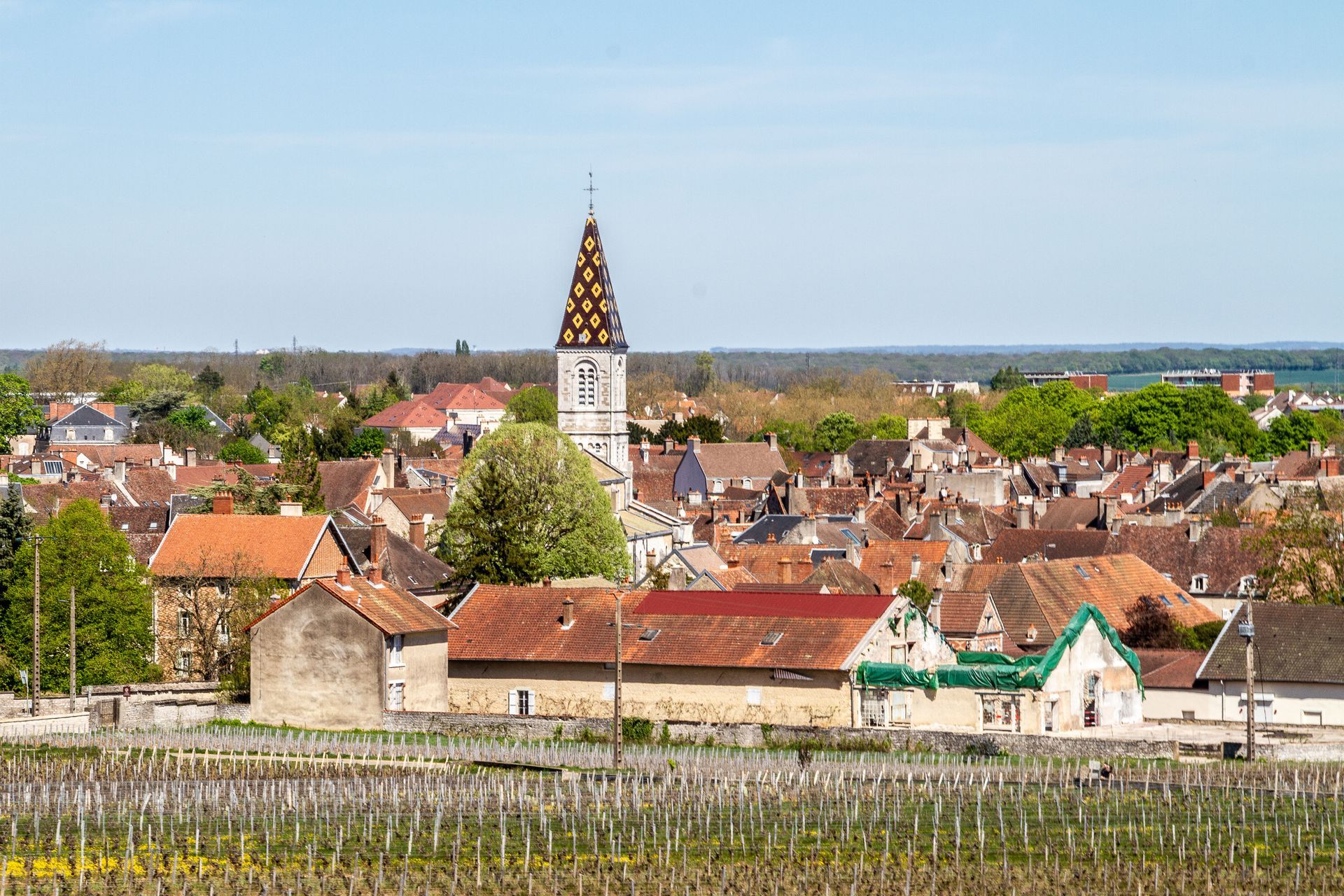 Toits de village avec un clocher blanc se détachant sur un ciel bleu clair, vus de l'autre côté d'un champ.