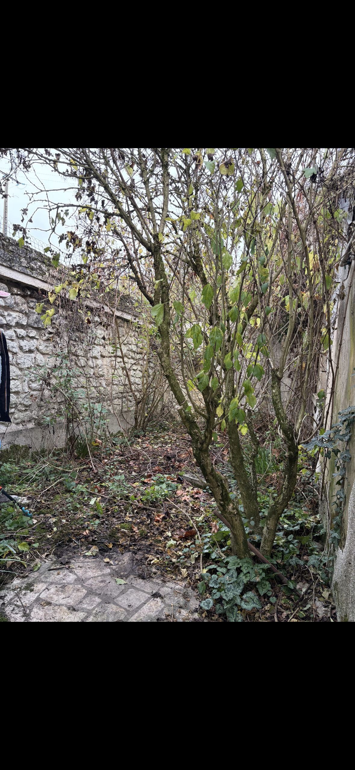 Gros plan sur un appareil photo ancien posé sur un clavier de piano.