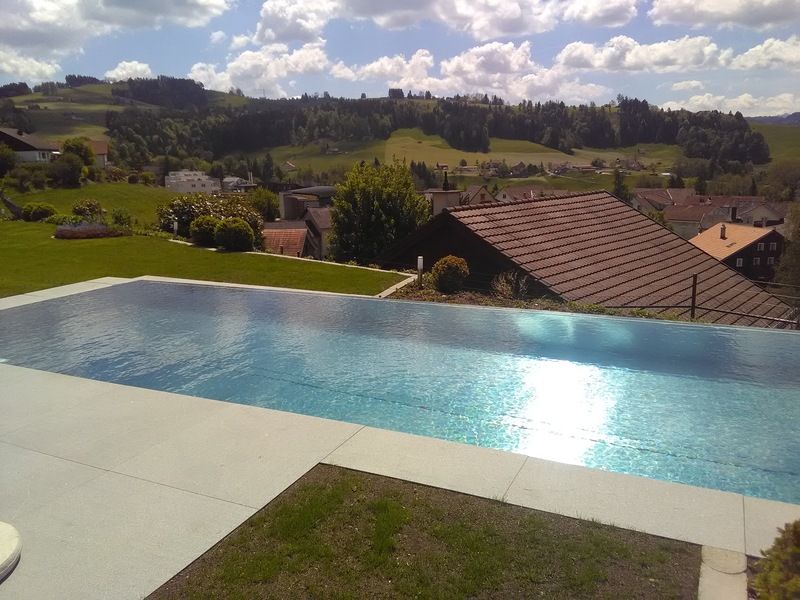 Ein grosser Swimmingpool aus Edelstahl ist von Gras und Häusern umgeben. Foto von der Artmetal GmbH