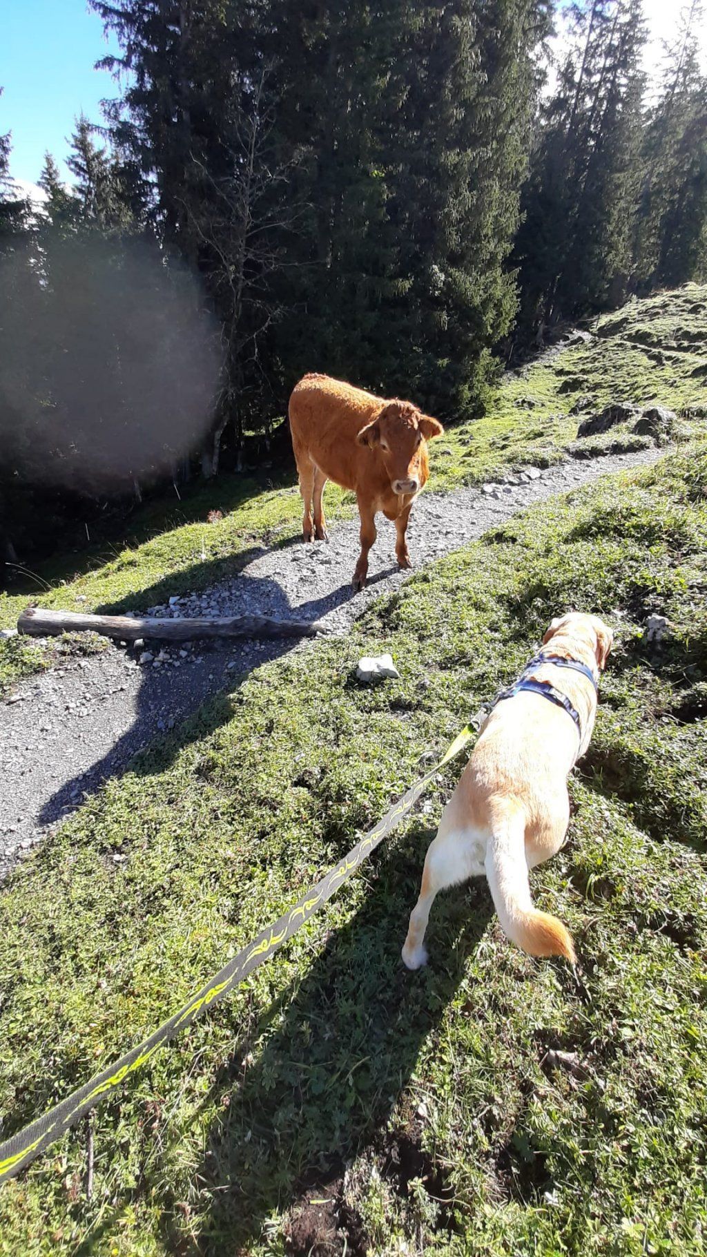 Herbstwanderung 2021