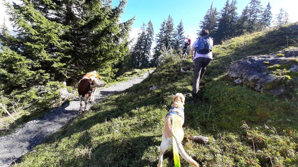 Herbstwanderung 2021