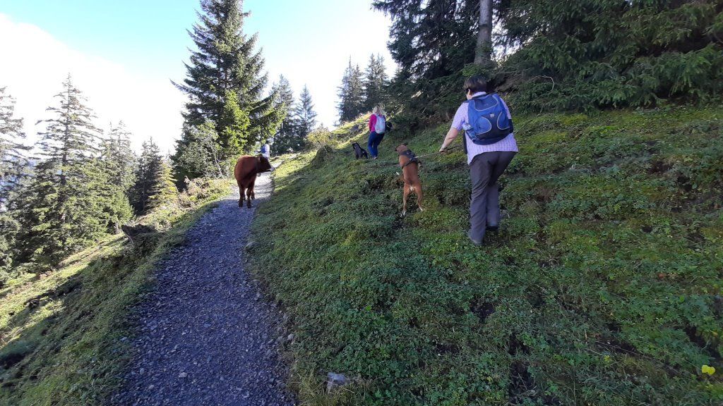 Herbstwanderung 2021
