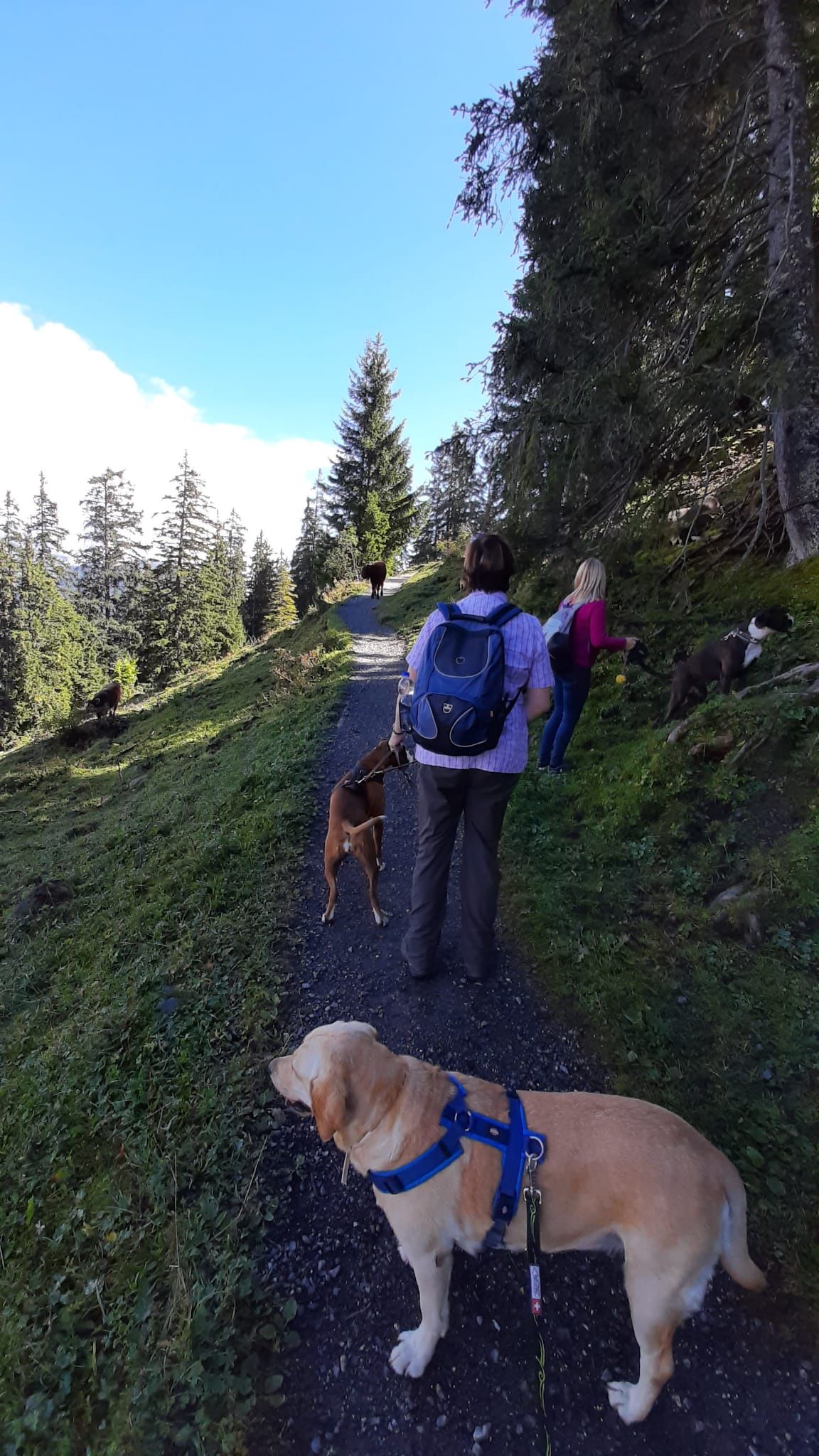 Herbstwanderung 2021