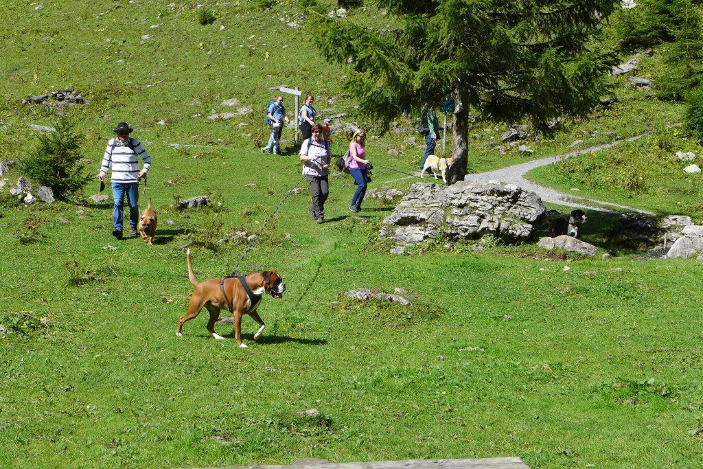 Herbstwanderung 2021