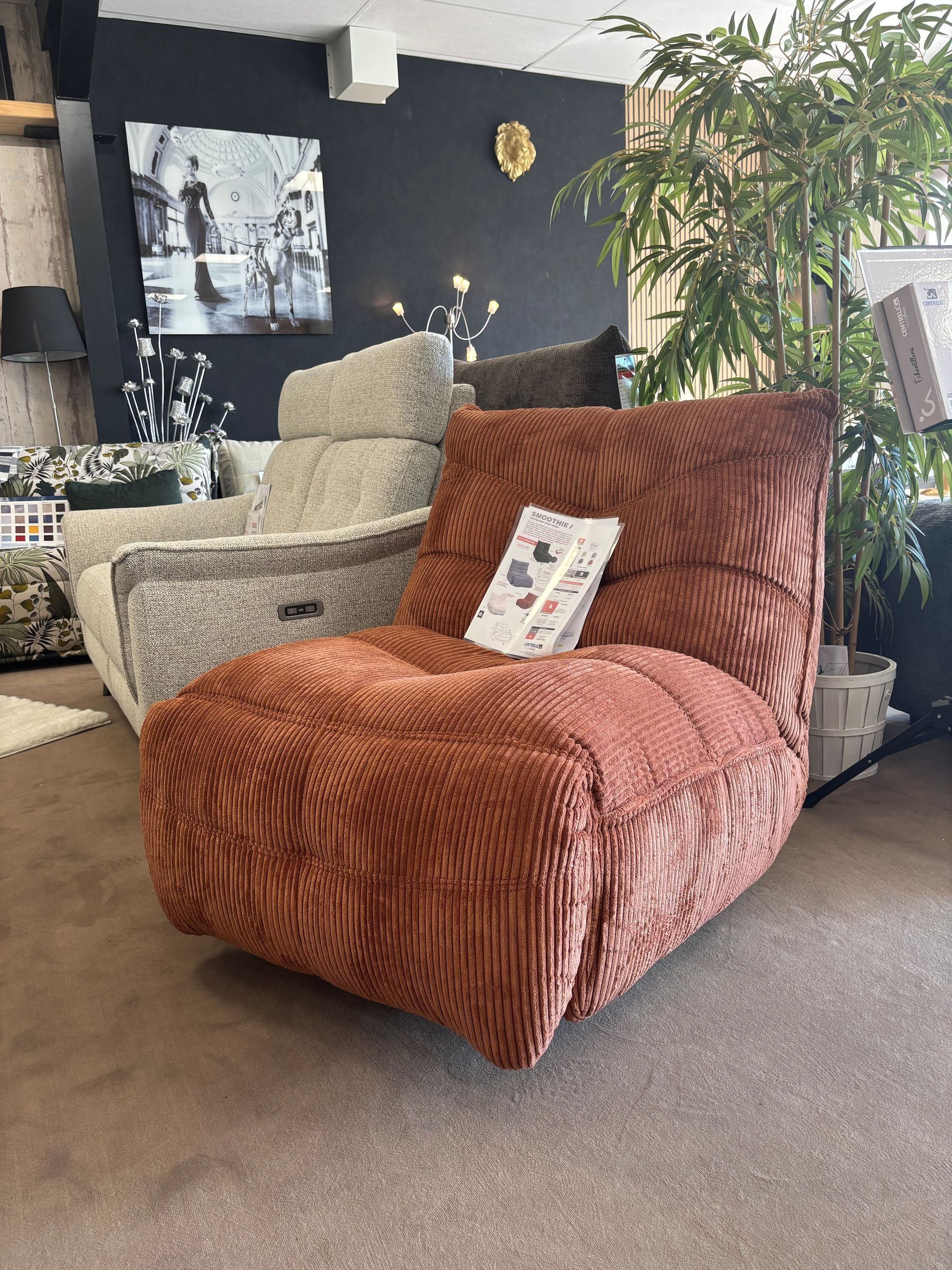 Gros plan sur des fauteuils