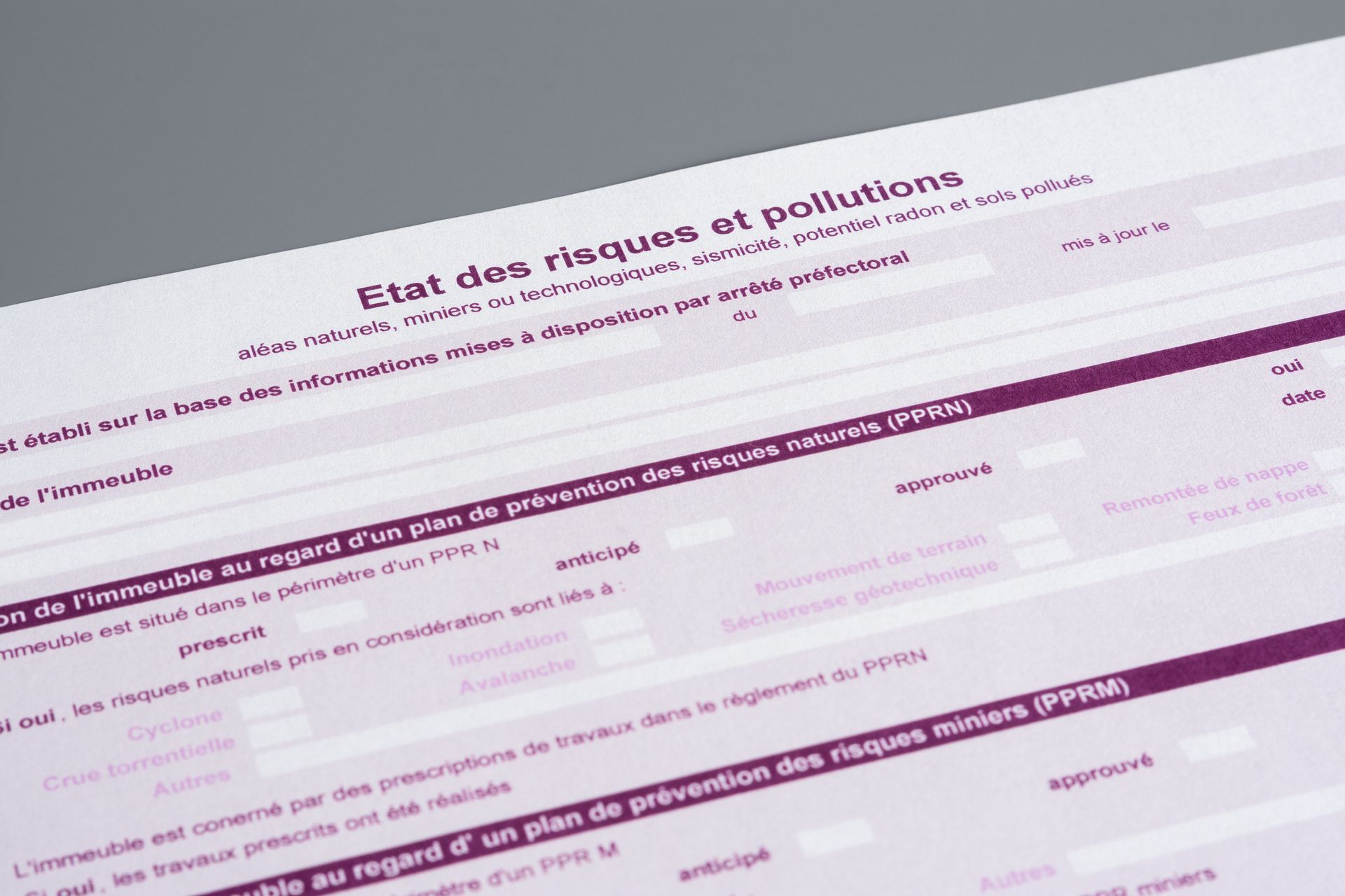 Gros plan d'un formulaire violet et blanc intitulé « État des risques et pollutions ».