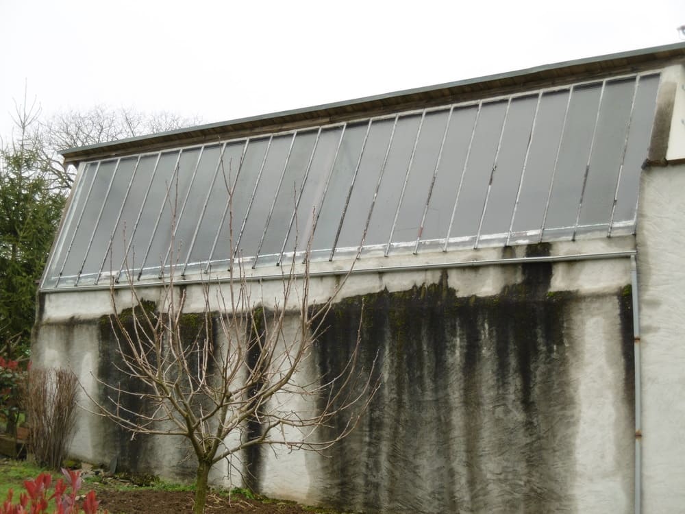 un arbre sans feuilles