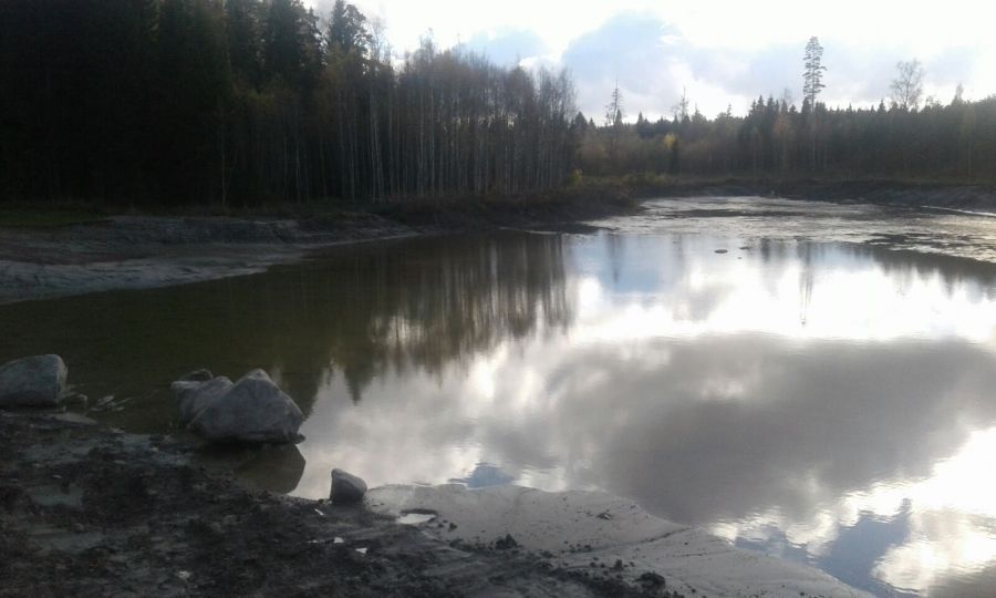 sappinen