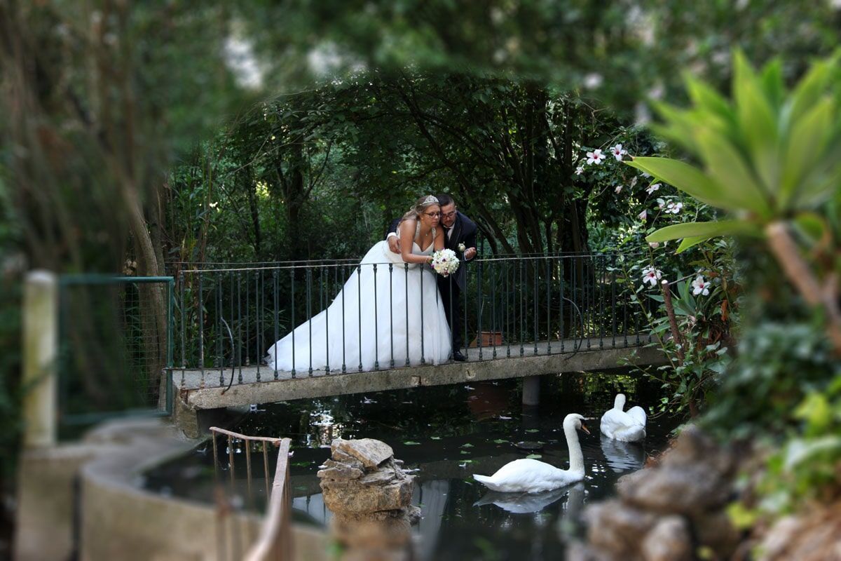 Casal em trajes de casamento em uma ponte sobre um lago com cisnes.